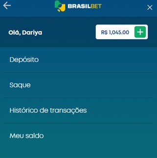 Payments section screenshot.jpg